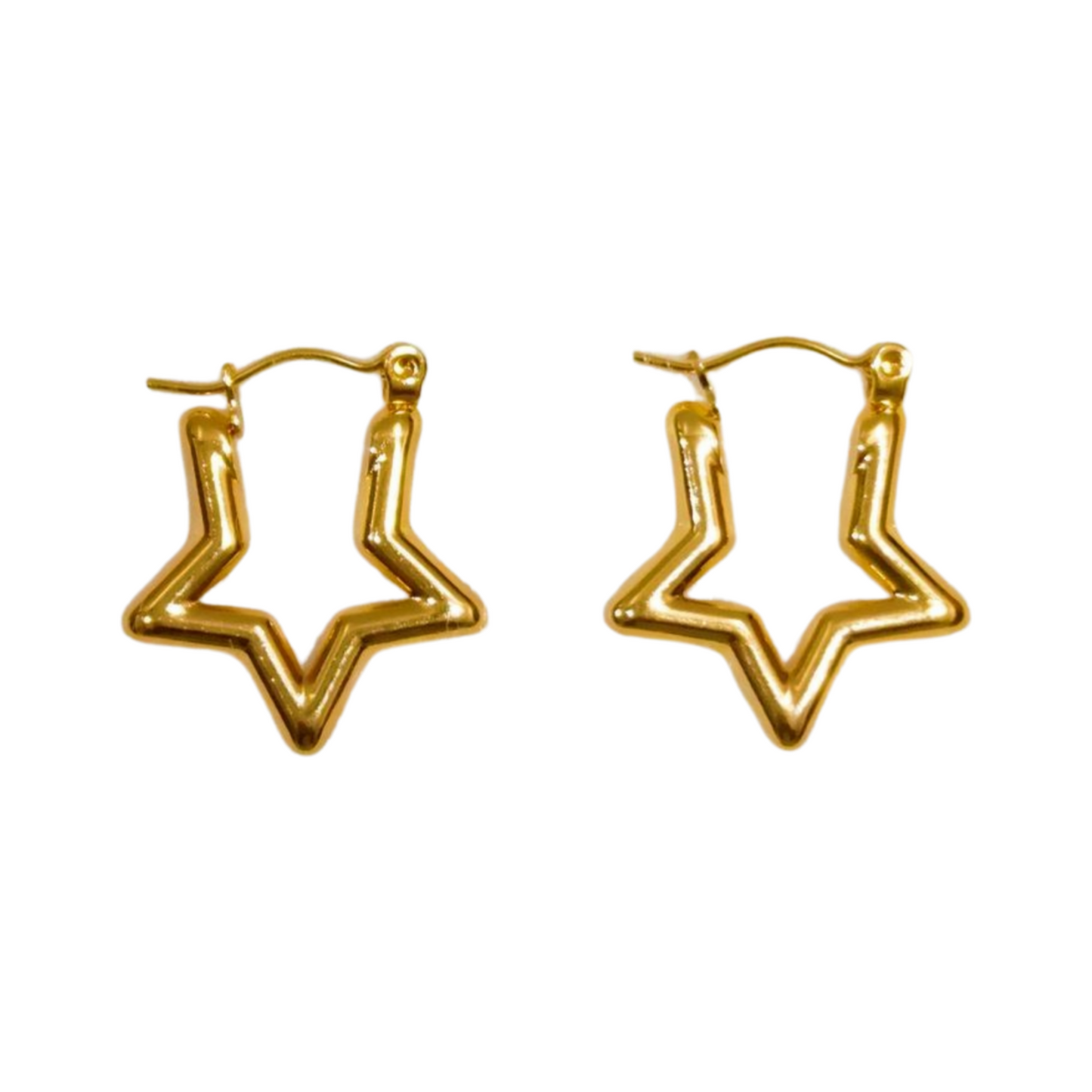 Arushi Anti-Tarnish Earrings| Water Resistant, Premium Quality & Hypoallergenic [White Background Front]